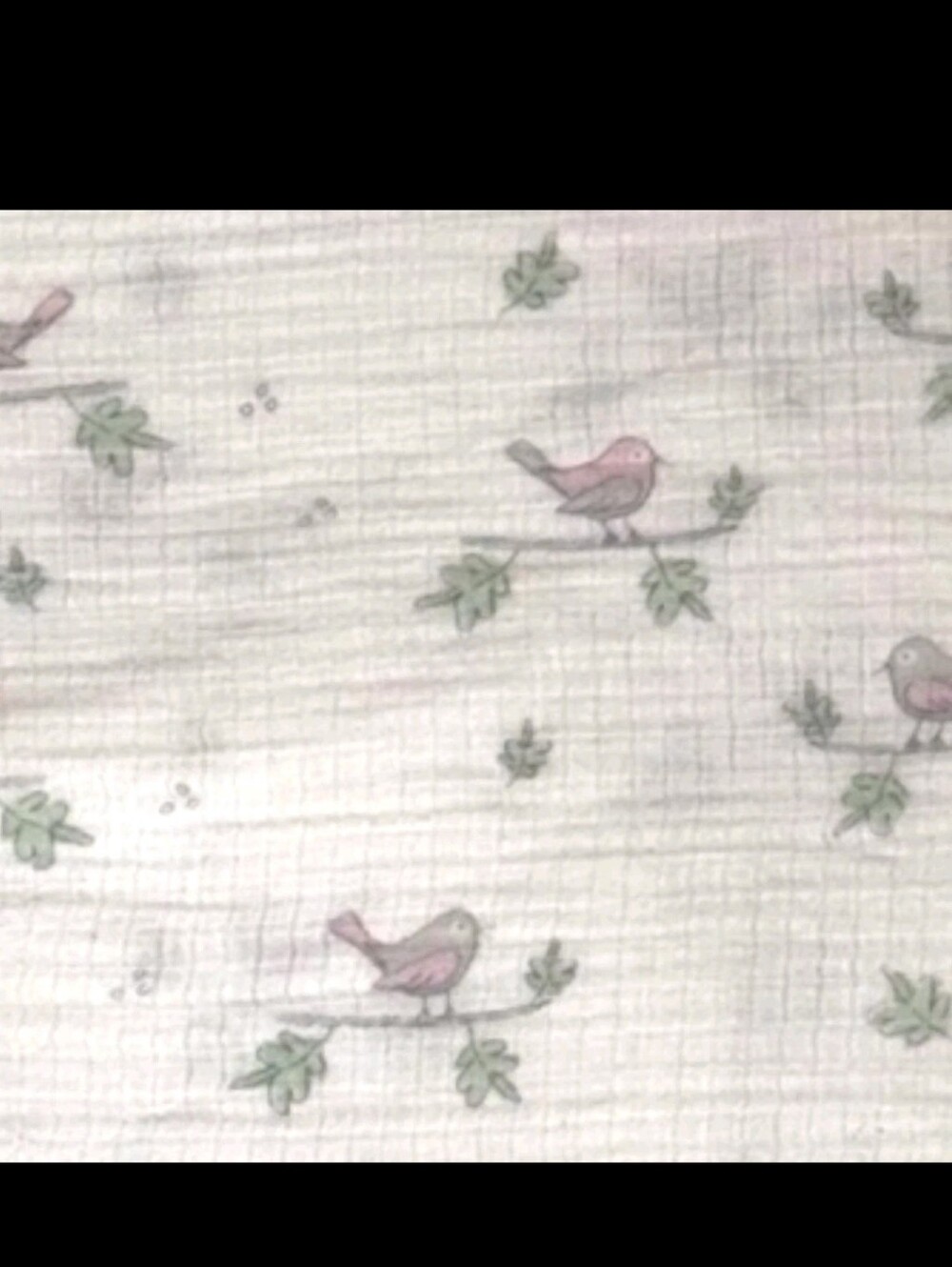 Aden Anais Bird Baby Blanket Muslin Branch White Nature Chirping Birds Cotton